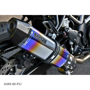 BEAMS (r[X) CORSA-EVO2XbvI q[g`^ SV650/X 8BL-VP55E G345-65-P1J