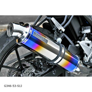 BEAMS (r[X) R-EVO q[g`^TCT[ GSX-R125/8BJ-DL32D {F G346-53-S1J