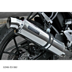 BEAMS (r[X) R-EVO XeXTCT[ GSX-R125/8BJ-DL32D {F G346-53-S6J