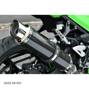 BEAMS (r[X) R-EVO2 XbvI J[{ NINJA400 2BL-EX400G/8BL-EX400L G432-54-P2J