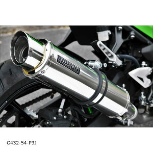 BEAMS (r[X) R-EVO2 XbvI XeX NINJA400 2BL-EX400G/8BL-EX400L G432-54-P3J