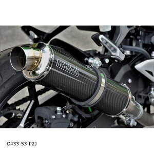 BEAMS (r[X) R-EVO XbvI J[{TCT[ NINJA250 8BK-EX250Y G433-53-P2J