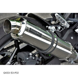 BEAMS (r[X) R-EVO XbvI XeXTCT[ NINJA250 8BK-EX250Y G433-53-P3J