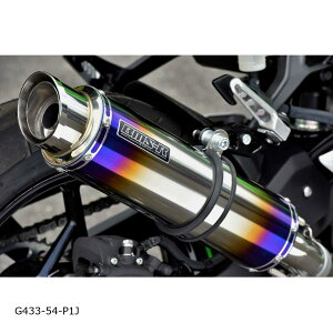 BEAMS (r[X) R-EVO2 XbvI q[g`^TCT[ NINJA250 8BK-EX250Y G433-54-P1J