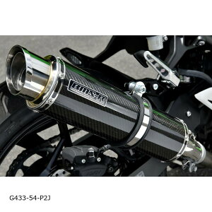 BEAMS (r[X) R-EVO2 XbvI J[{TCT[ NINJA250 8BK-EX250Y G433-54-P2J