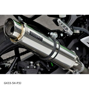 BEAMS (r[X) R-EVO2 XbvI XeXTCT[ NINJA250 8BK-EX250Y G433-54-P3J
