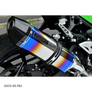 BEAMS (r[X) CORSA-EVO2 q[g`^ NINJA250 8BK-EX250Y G433-65-P6J