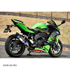 BEAMS (�r�[���X) CORSA-EVO2 �q�[�g�`�^���T�C�����T�[ ZX-25R 8BK-ZX250H G436-65-P6J