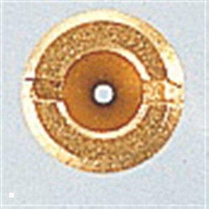 KITACO (L^R) CWFbg PCq lW #85