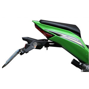 K�t�@�N�g���[ (�P�C�t�@�N�g���[) �t�F���_�[���X�L�b�g Ninja ZX-25R 193WZAR018R