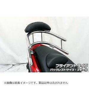 ECYEB obNz[h^fo[ uCAg/S PCX150 KF12 273-03-51