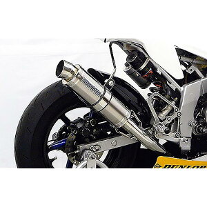 ECYEB [VO}t[ tEX^Cv NSF100 1542-23-01