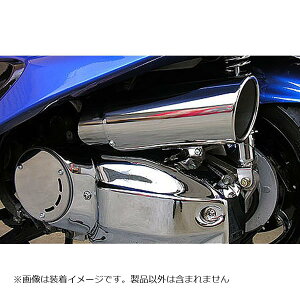 ECYEB Lp[^CvACv[[Jo[ MAJESTY250(5GM/SJ) 114-03-11