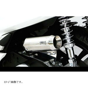 ウイルズウィン サイレンサー型エアクリーナー/ジェット PCX(EBJ-JF56) 264-01-03B