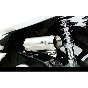 ウイルズウィン サイレンサー型エアクリーナー/ジェット PCX(2BJ-JF81) 264-01-03C