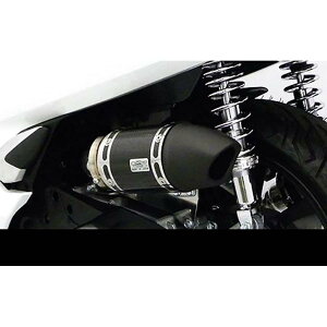 ウイルズウィン サイレンサー型エアクリーナー/ユーロ ブラック PCX(2BJ-JF81) 264-01-06C