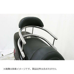 ECYEB obNz[h^fo[ uCAg/L MAJESTY250(5GM/SJ) 113-03-01