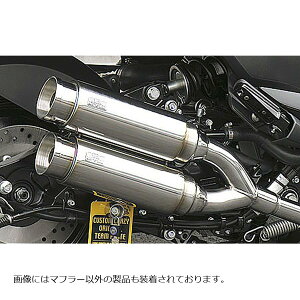 ECYEB Ag~bNcC}t[/oY[J- MAJESTY250(4D9) 172-13-02