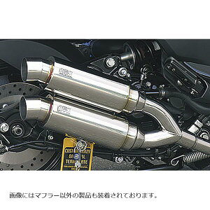 ECYEB Ag~bNcC}t[/X|[c MAJESTY250(4D9) 172-13-05