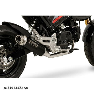 MORIWAKI (�������L) ZERO BP-�� GROM 01810-L81Z2-00