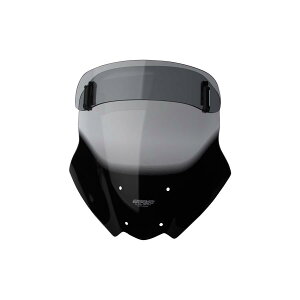 �G���A�[���G�[ �X�N���[�� ���@���I�c�[�����O �X���[�N VERSYS-X 250/300 17-18 4025066161140