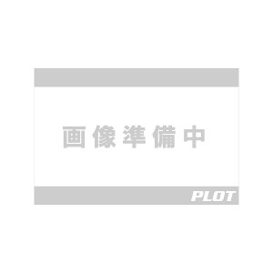 �A�O���X �A�N�X���v���e�N�^�[ �t�@���l���^�C�v �A���~/�V���o�[ YZF-R9 344-286-A0S