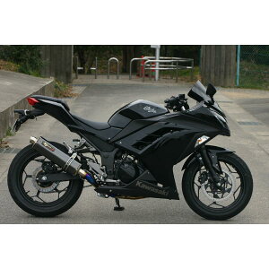 mW}GWjAO DLC`^ tGL][Xg 2-1 Ninja250 13-16 NT646GTD-CLK