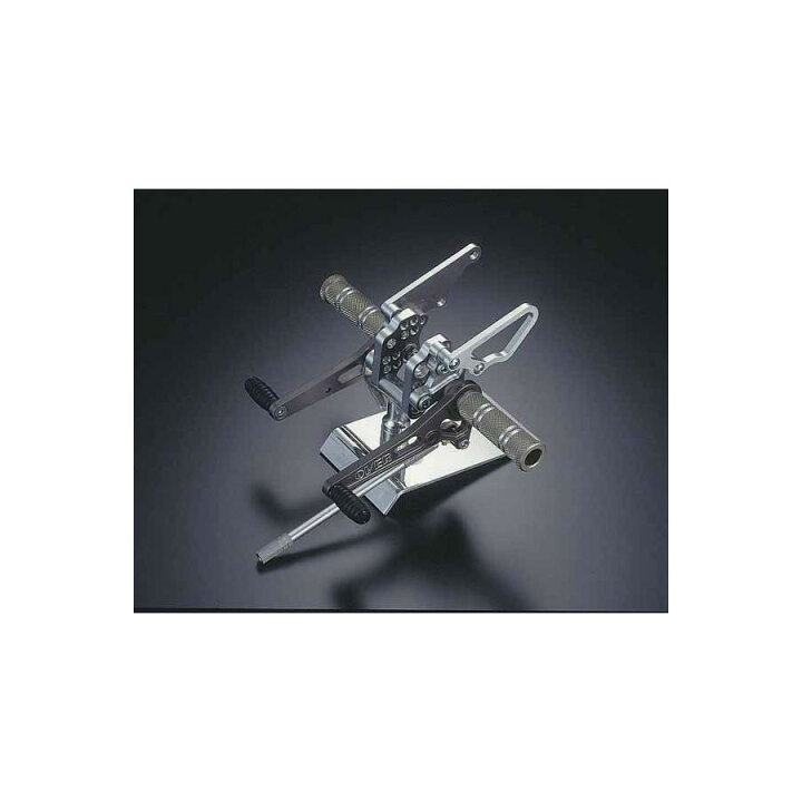 楽天市場】OVER RACING (オーバーレーシング) バックステップ 4 