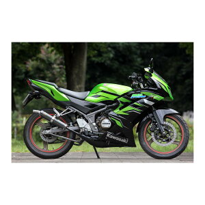 SPj (SP^_I) WbJ`o[ ubNGu Ninja150RR jW150RRKR15