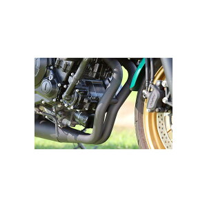 SP���j (SP�^�_�I) POWER BOX FULL2in1 �ϔM�u���b�N Z650RS 8BL-ER650M Z6R-PB-01