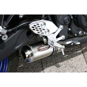 STRIKER(XgCJ[) Xg[gRZvg tEX tGL][Xg }t[ YZF-R25/ABS
