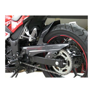 STRIKER(XgCJ[) GAfUC tF_[ AtF_[ m[}XCOA[p J[{ Ninja250R[jW](ABS) SAD-RF117C-A