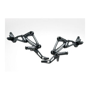 STRIKER(XgCJ[) XebvLbg ubN Type2 [t@[1100 ZEPHYR1100 SS-AA202BT