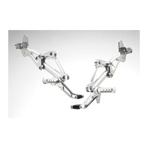 STRIKER(XgCJ[) XebvLbg Vo[ Type2 [t@[1100 ZEPHYR1100 SS-AA202SLT