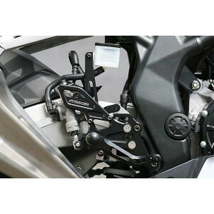 STRIKER (�X�g���C�J�[) �X�e�b�v�L�b�g TypeS��R TYPE-2 �u���b�N CBR250RR