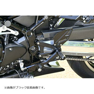 STRIKER (�X�g���C�J�[) FORTI �X�e�b�v�L�b�g �V���o�[ Z900RS/CAFE (2BL/8BL-) SS-FT2158S