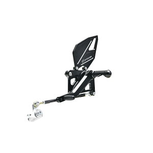 STRIKER (�X�g���C�J�[) FORTI �X�e�b�v�L�b�g 4�|�W�V���� MT-09/SP SS-FT2161B