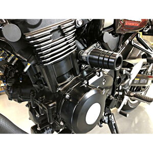 STRIKER(XgCJ[) K[hXC_[ x[XFW~(x[X Vo[A}Cg) WRFubN Z900RS SS-GS141A-F1