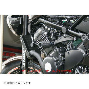 STRIKER(XgCJ[) K[hXC_[ I[ubN x[X:W~ WR:ubN (XC_[x[X:ubN) Z900RS SS-GS141B-F1