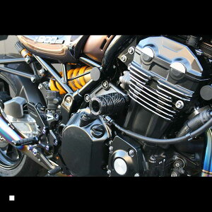 STRIKER(XgCJ[) t[XC_[ Z900RS J[{ K[hXC_[ SS-GS141C-F1