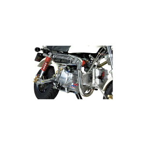 SP (SP^PK) Z-STYLE}t[ Type-DOHC L[ MONKEY DOHCp