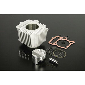 SP(SP^PK) DOHC/DESMO V_[Lbg 12V-Monkey L[