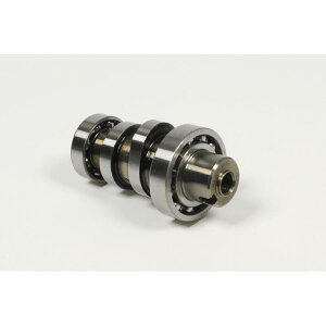 SP(SP^PK) X|[cJVtg CUB50(AA04)