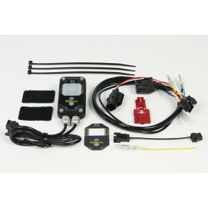 SP(SP^PK) CWFNVRg[[ FIR2 X[p[Ju110 (JA10)