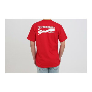 YOSHIMURA (V) TVc (bh/The Original 4-1 Exhaust System)/L 900-224-360L