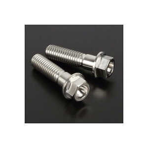 W[^ (ZETA) Z-`^ tW{gZbg M8 2pcs 30mm D6981 }\