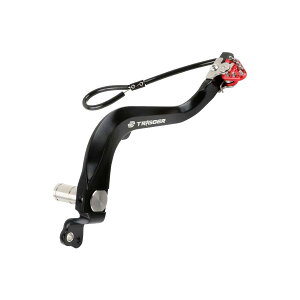 W[^ (ZETA) gK[u[Ly_ bh CRF250L/M/RALLY F6893