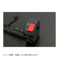楽天市場】zrx1200daeg スイッチキットの通販