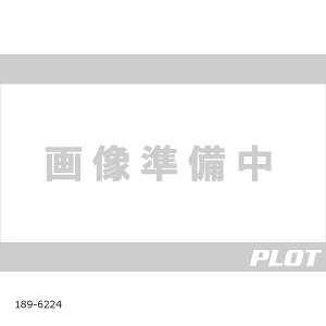 s[GV[ ARCHI ANXK[h Vo[/ubN Z900RS 189-6224