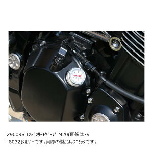 PMC(s[GV[) GWT[Q[W M20 ubN Z900RS